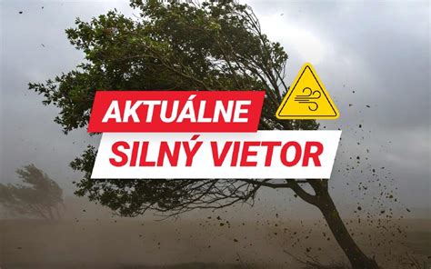 Poškodený strom po silnom vetre