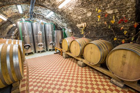 Klenbová vínna pivnica