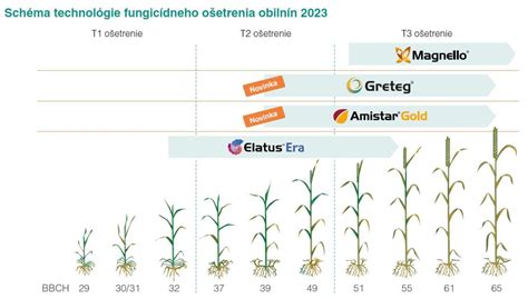 Infografika zobrazujúca maximálny povolený sklon pre rôzne typy vegetácie na streche