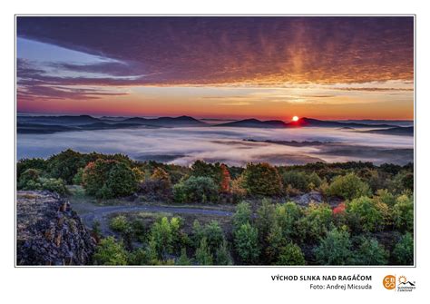 Fotografia okolia Hamuliakova s Dunajom