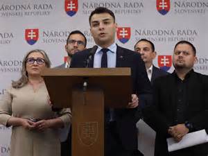 Infografika znázorňujúca rozdelenie dávok a príspevkov v systéme pomoci v hmotnej núdzi