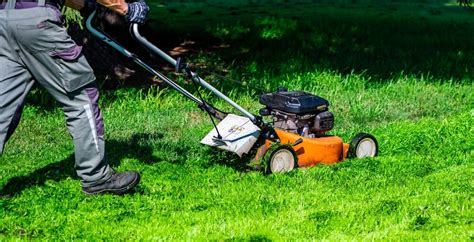 kvitnúci lúčny trávnik