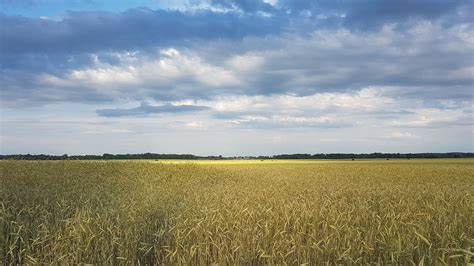 Ilustračné foto poľnohospodárskej pôdy