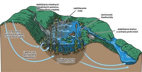 Ilustrácia rôznych poľnohospodárskych plodín pestovaných na Slovensku