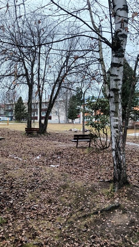 Ilustračná fotografia Tatier, ktoré obklopujú Novú Lesnú