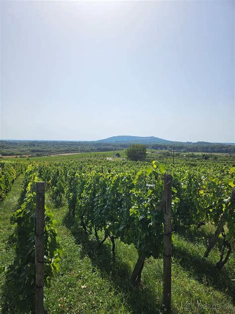 Vinice a pivnice v Tokajskej oblasti