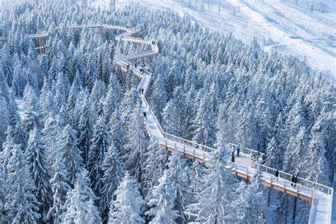 Zipline Kubínska - jazda nad korunami stromov