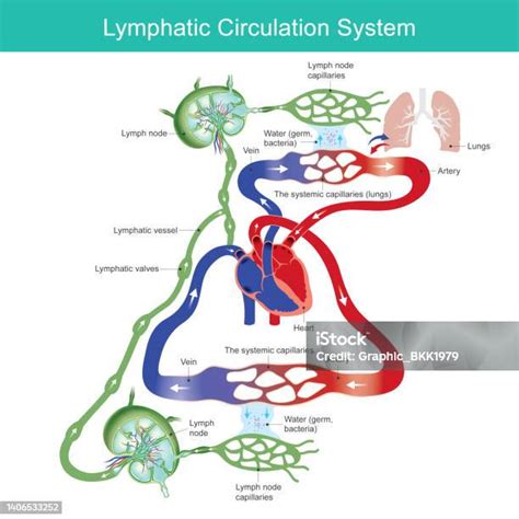 Diagram sprinklerového systému v garáži