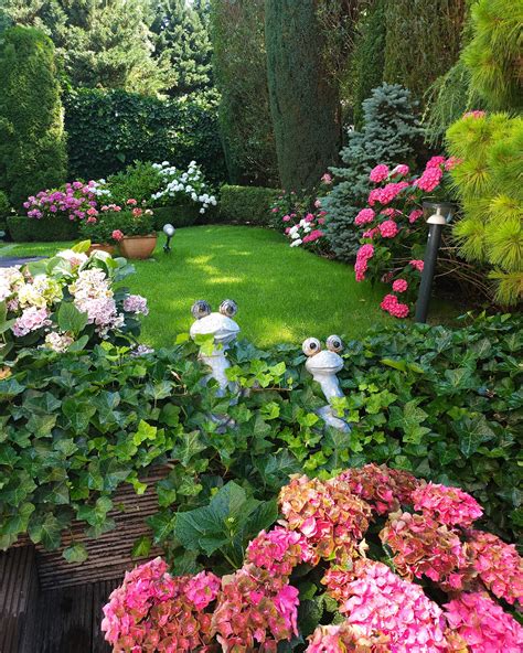 Obrázok krásnej záhrady