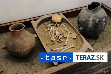 Ilustrácia archeologického výkopu s nájdenými artefaktmi