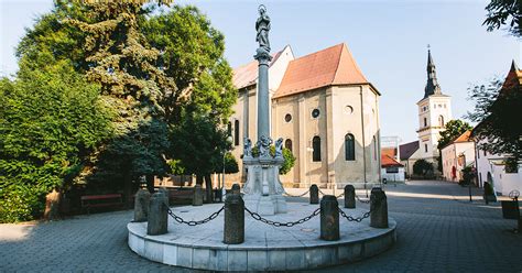 Panorama mesta Pezinok s vinicami