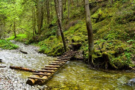 Fotografia rokliny Kyseľ s rebríkmi a lávkami