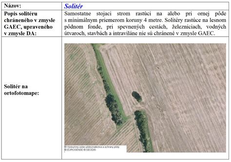 Ilustrácia susedských vzťahov a hranice pozemkov