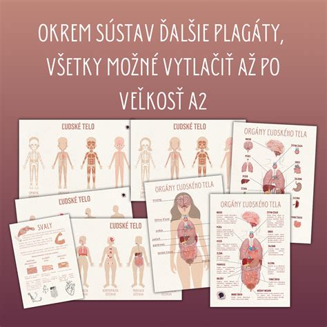 Infografika znázorňujúca účinky kyslíka na ľudské telo