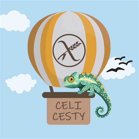 Infografika vysvetľujúca rozdiel medzi rôznymi formami bývania pre ZŤP