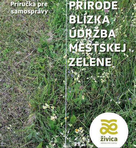 Ilustrácia modernej mestskej zelene a cyklotrás
