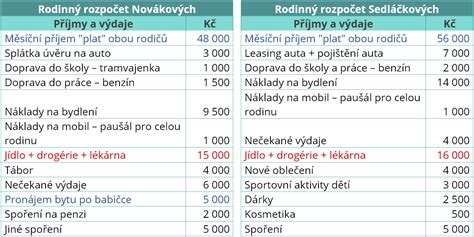 Ilustrácia rozpočtu domácnosti