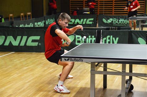 Stolný tenis hráči