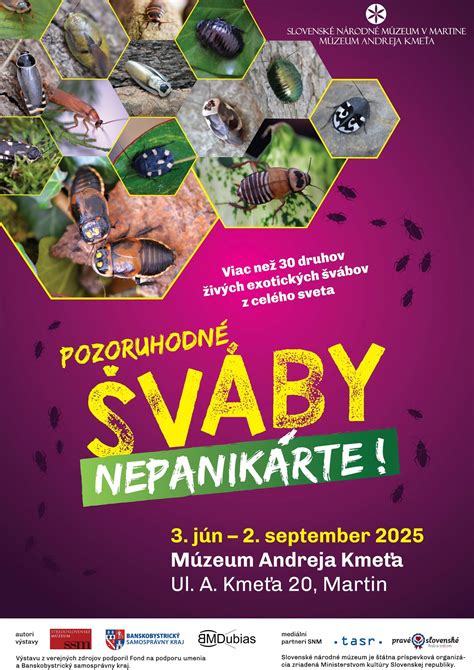 Ilustrácia rôznych druhov švábov