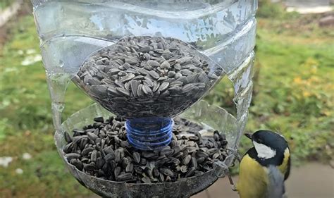 Ecobricks - stavebný materiál z plastových fliaš