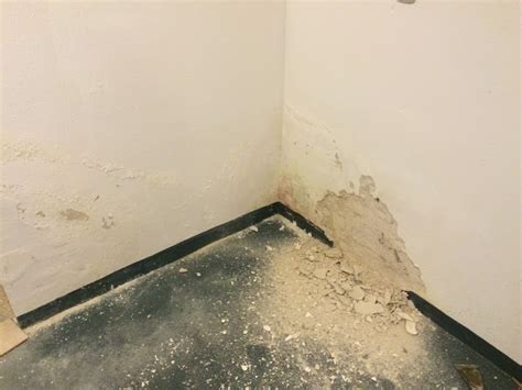 Zasolené murivo v pivnici