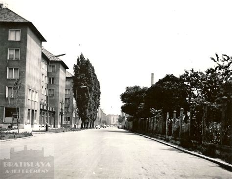 Fotografia zobrazujúca pokojnú dedinskú ulicu v Ludaniciach