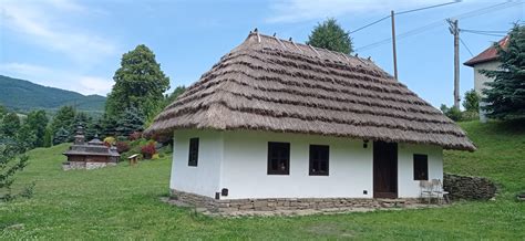 Drevený domček s detailnou slamenou strechou