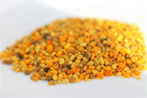 Detail včely zbierajúcej peľ z kvetu