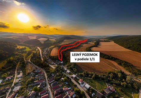 Lesný pozemok s cestou