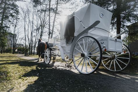 Svadobný koč ťahaný koňmi