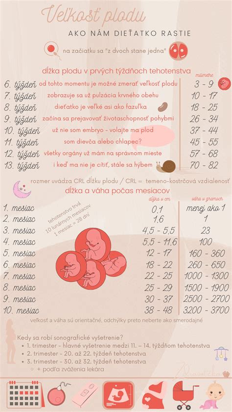 Infografika porovnávajúca veľkosť paláca s Monakom