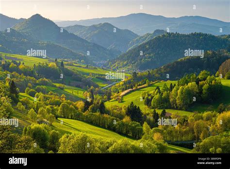 Pieniny National Park landscape
