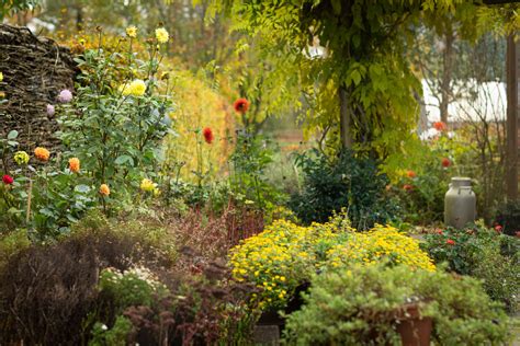 Rozkvitnutá záhrada s rôznymi druhmi kál