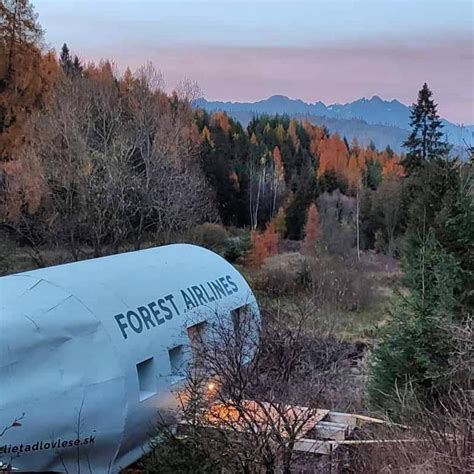 Lietadlo v lese s výhľadom na Tatry