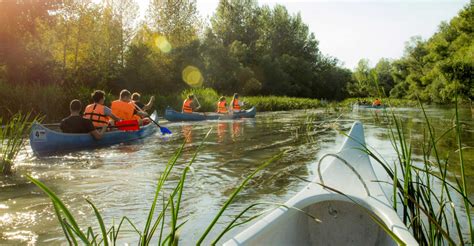 Malý Dunaj pri Jelke