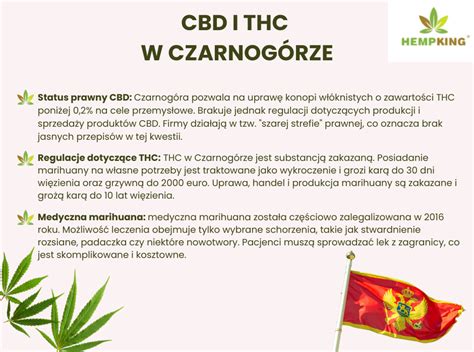 Infografika o vplyve THC na mozog