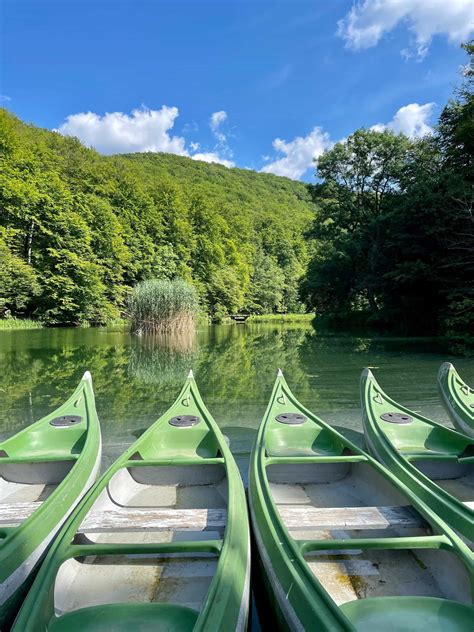 Hausboot na rieke s lesným pozadím