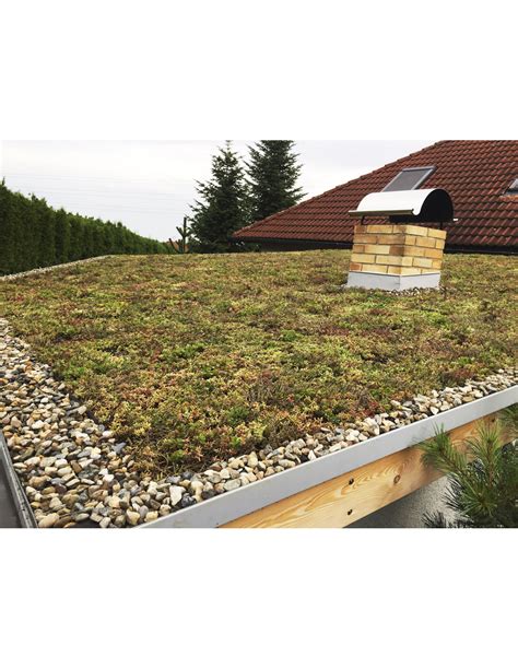 Detailný pohľad na rozchodníkový koberec pripravený na pokládku
