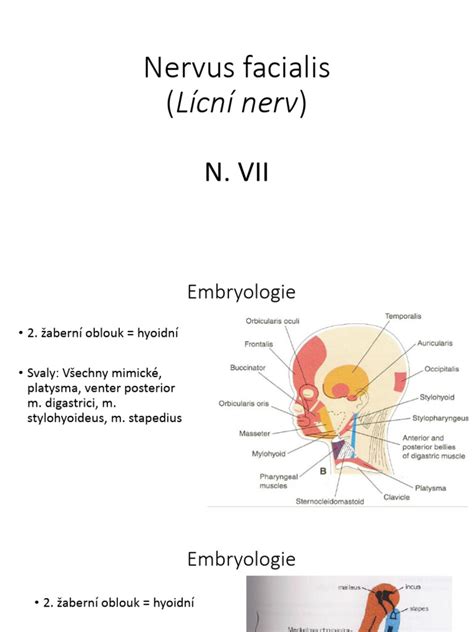 Porovnanie zdravej a postihnutej tváre pri paréze nervus facialis